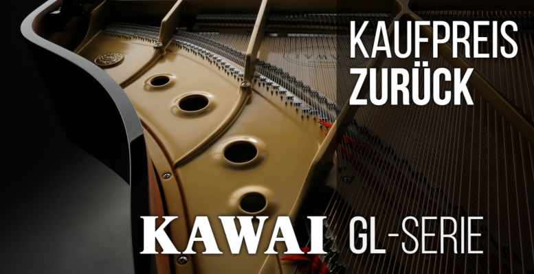 Kaufpreis zurück!